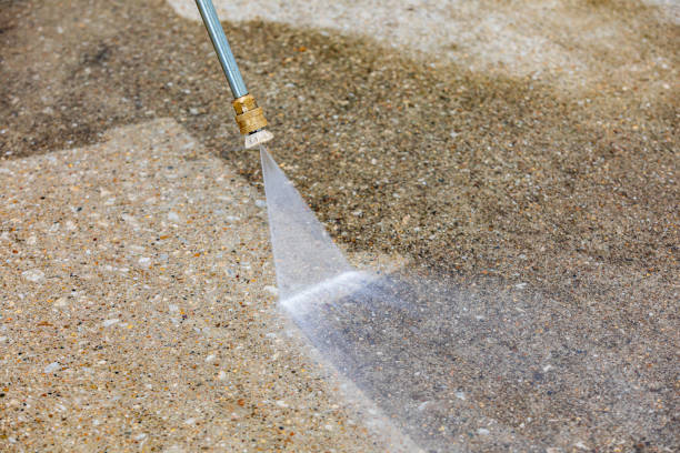 Best Driveway Pressure Washing  in Tarpey Village, CA